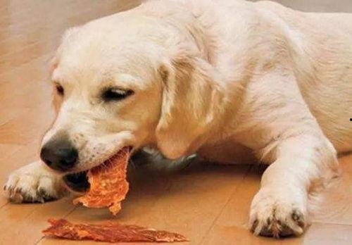 娱乐吃瓜酱埋狗,揭秘娱乐圈背后的“埋狗”真相